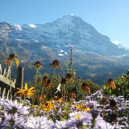 Chalet uf em Stutz 1 Grindelwald Exterior foto