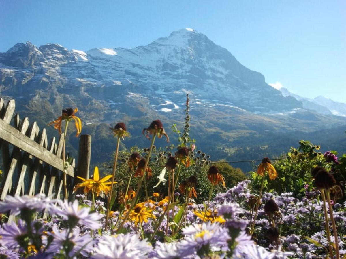 Chalet uf em Stutz 1 Grindelwald Exterior foto